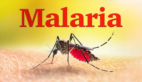 Malaria Juice